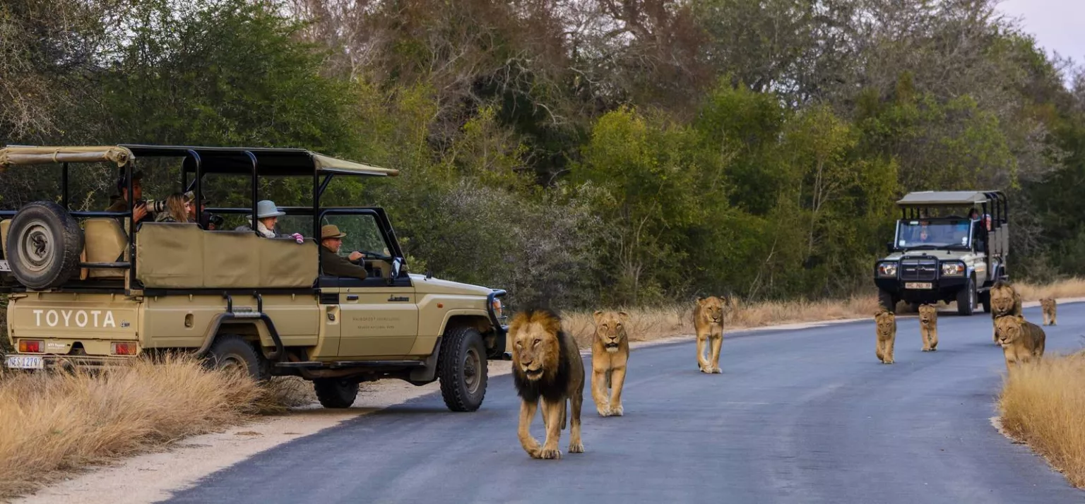 Parque Nacional Limpopo