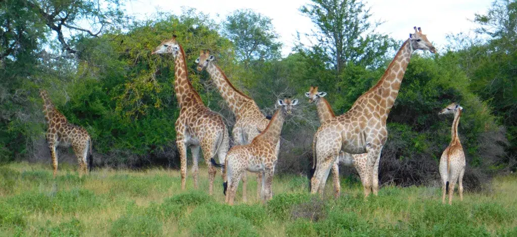 Parque Nacional do Zinave