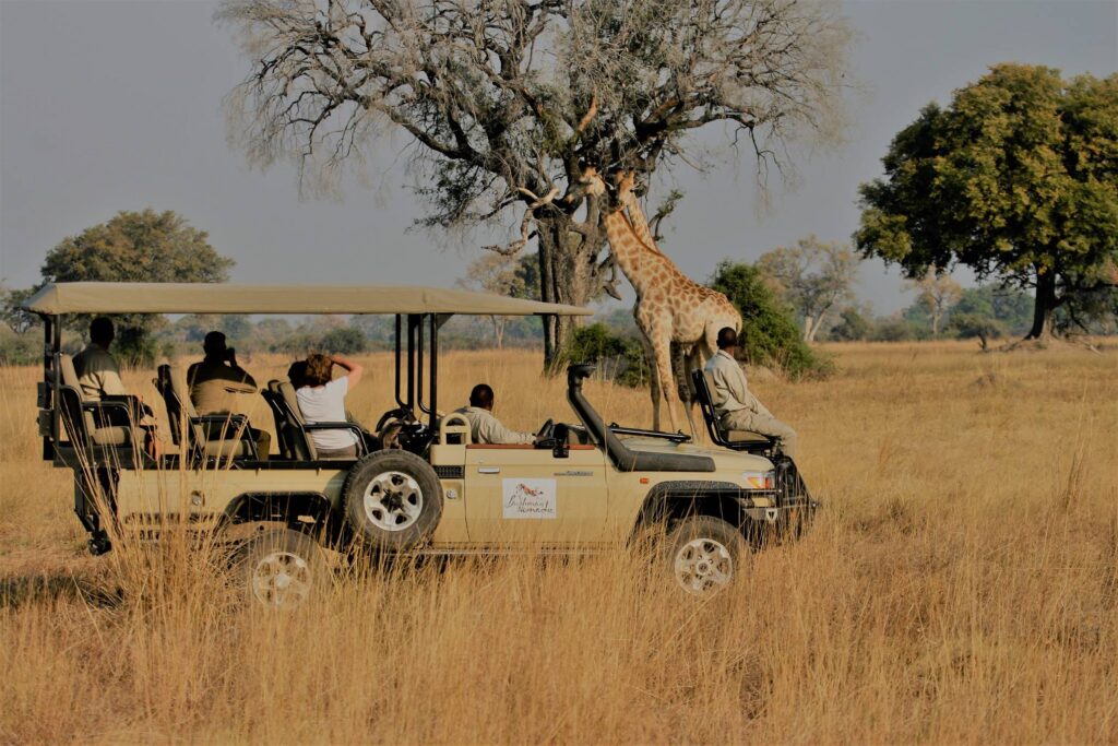 Safari no Parque Nacional de Gororngosa