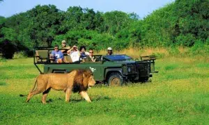 Turismo em Moçambique – tipos, potencialidades e impactos