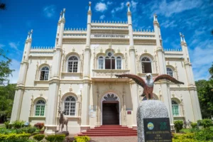 museu de historia natural visitar maputo