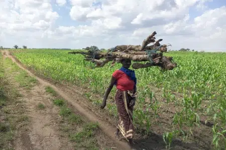 Principal atividade economica de Mocambique