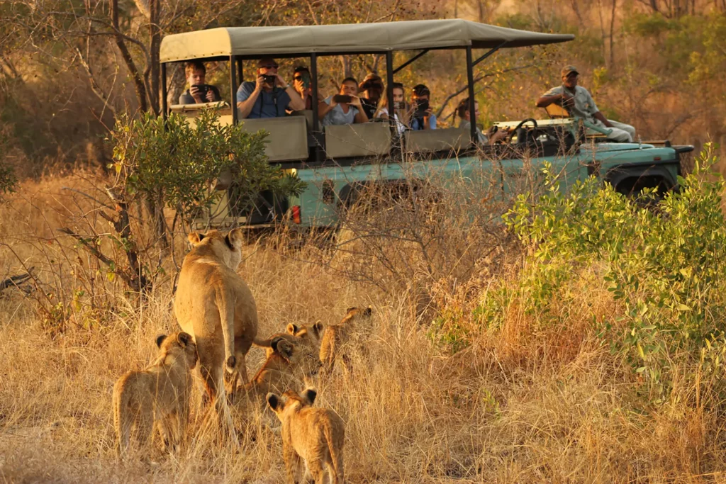 excursao no kruger park