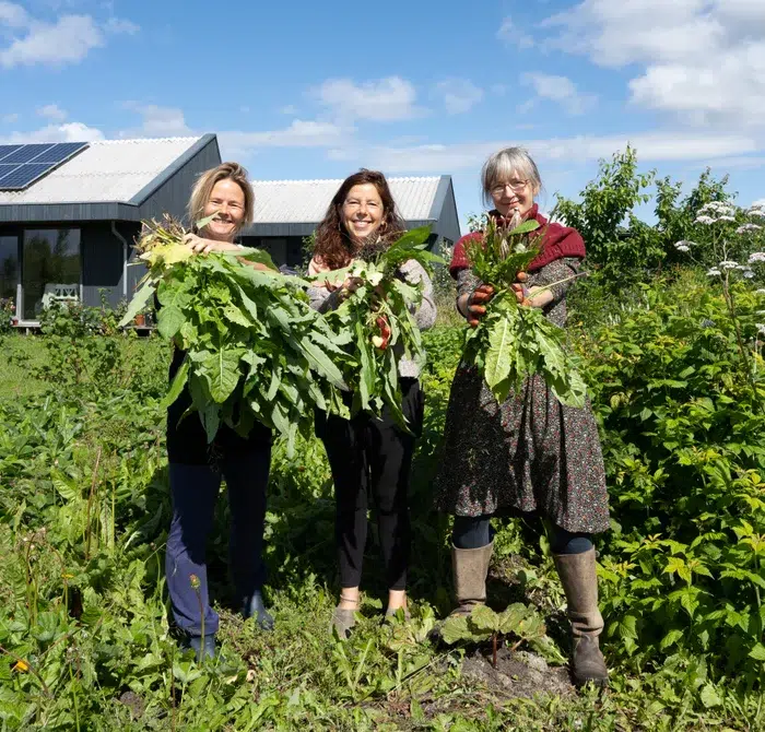 Oosterwold: o bairro holandês onde os moradores são obrigados a ter uma horta em casa 1 Moradoras de Oosterwold