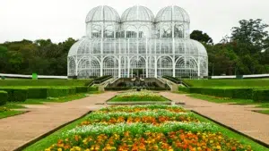 Curitiba: a cidade sustentável que se tornou referência global e viralizou na mídia internacional cidade de curitiba